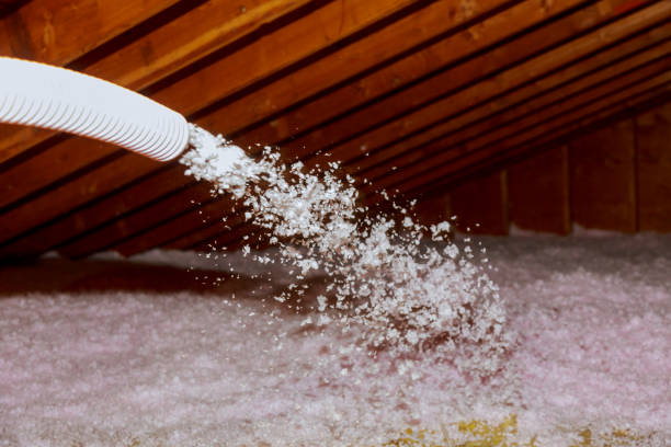 Best Blown-in Insulation in Oakland, SC