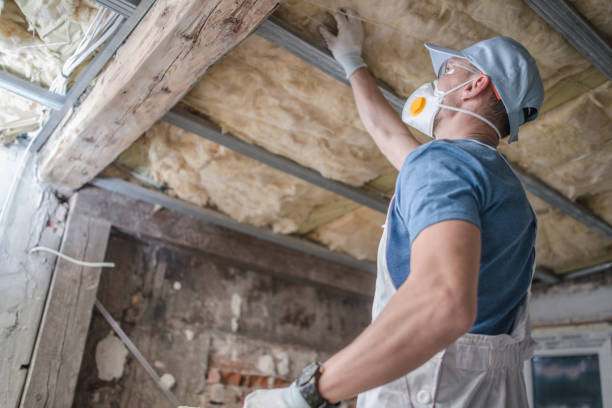 Best Cellulose Insulation in Oakland, SC