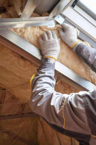 Types of Insulation We Offer in Oakland, SC