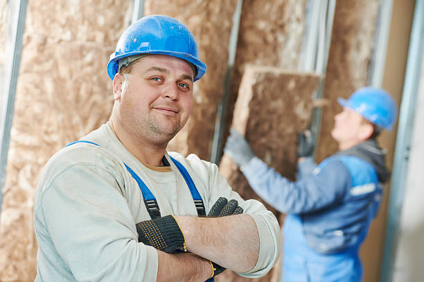 Best Eco-Friendly Insulation in Oakland, SC